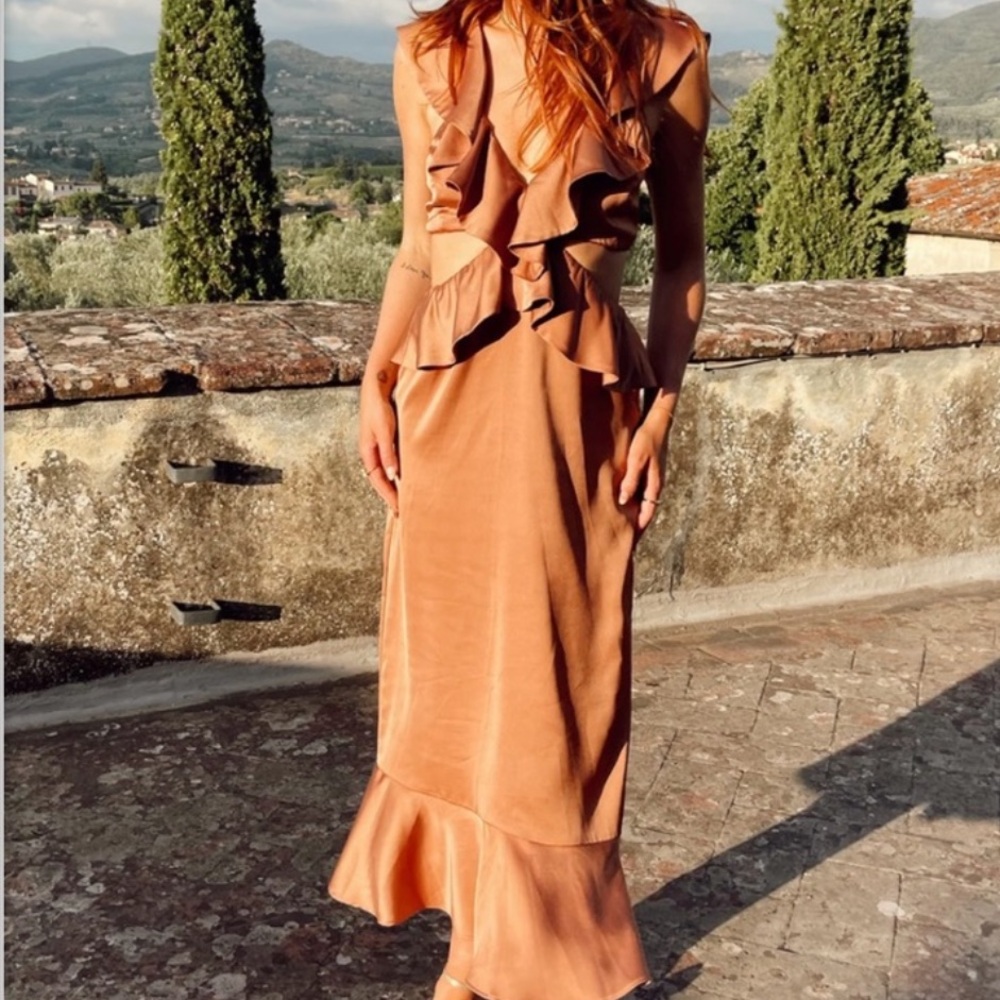 Show Me Your MuMu Brown Backless Ruffle Dress